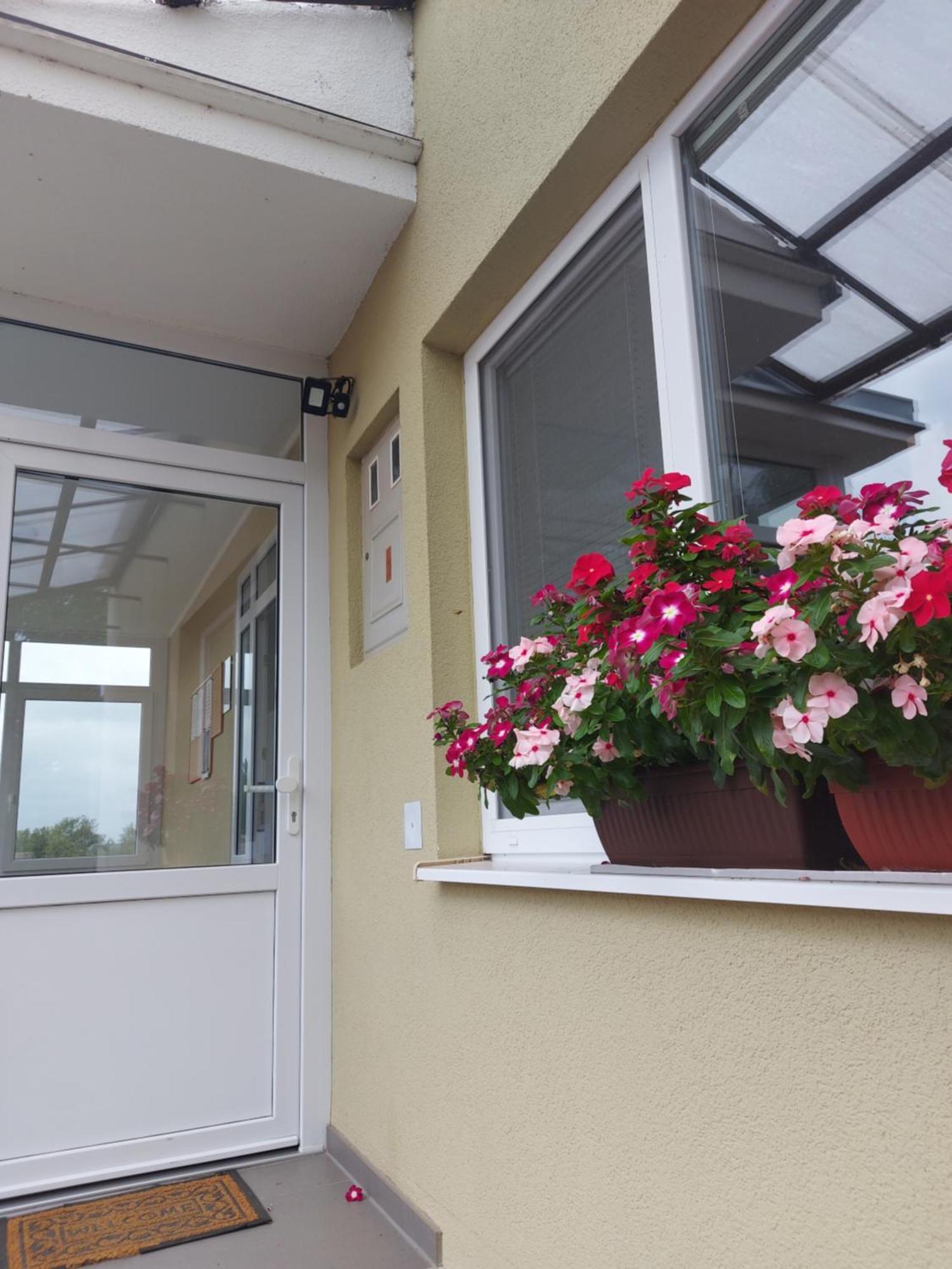 Apartman Kovac-Bilje Room photo