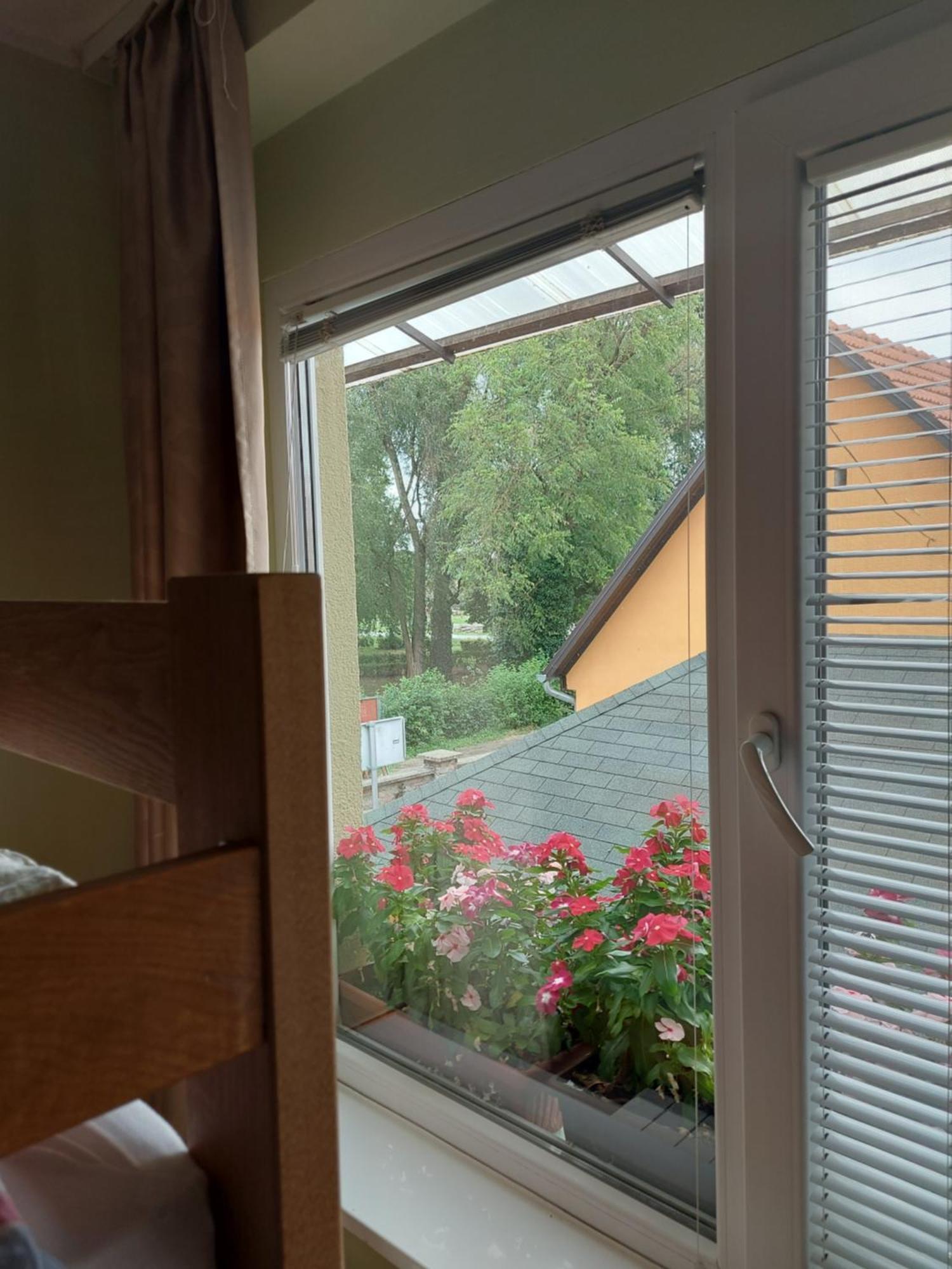 Apartman Kovac-Bilje Room photo